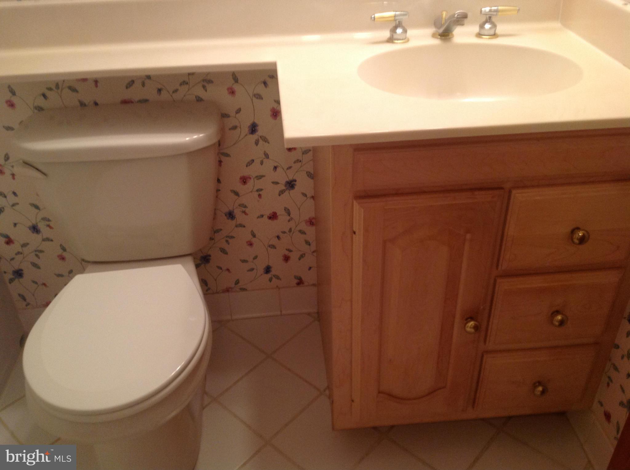 3417 Falling Green Road Olney, MD 20832 - Photo 12 of 30 Bath