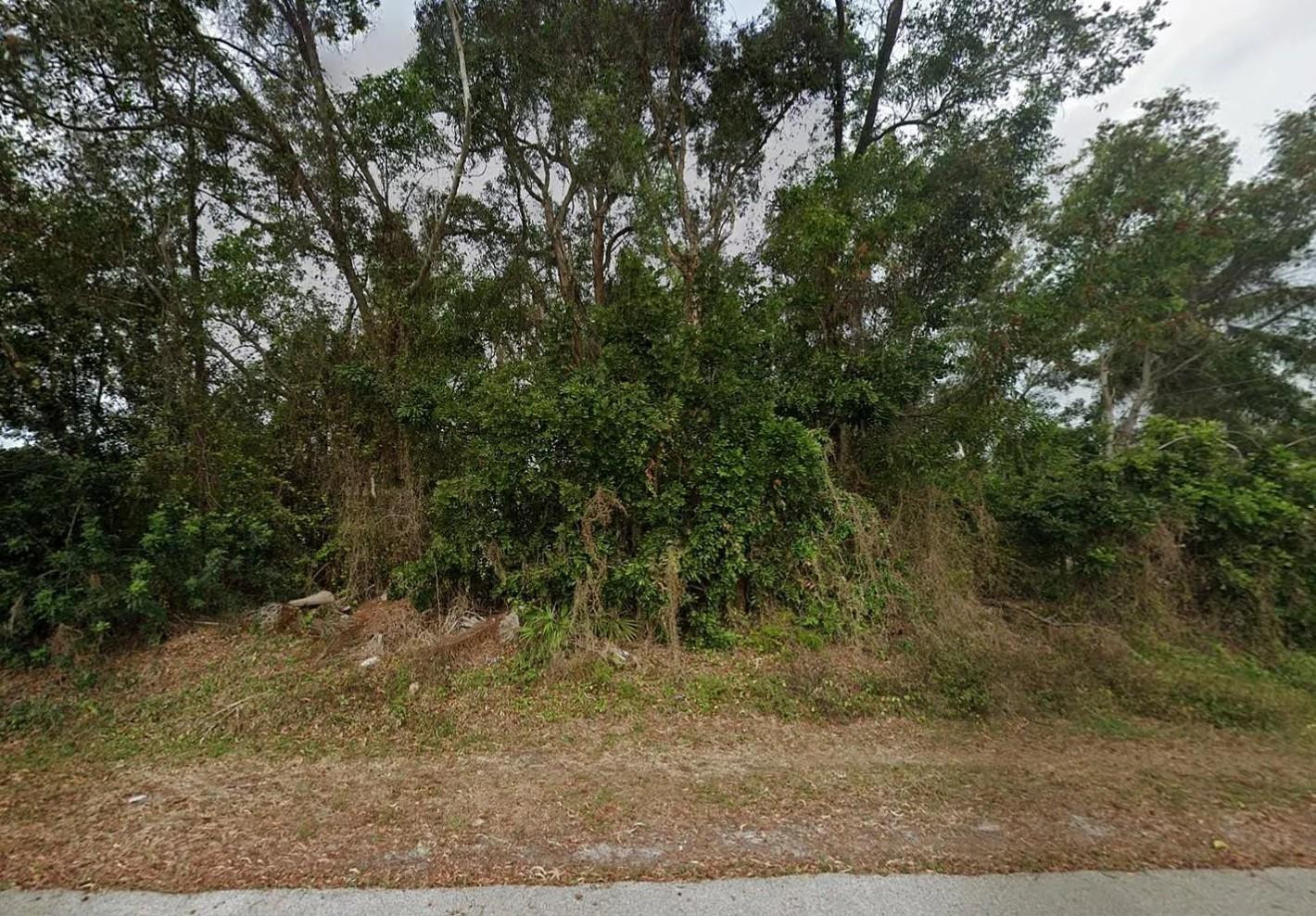 17428 Butler Road Fort Myers, FL 33967 - Photo 3 of 6 Photo 3