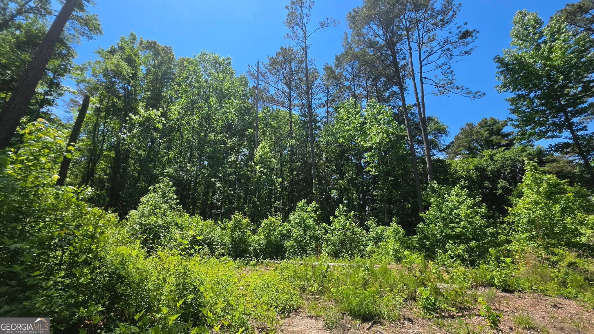 6099 Old Alabama Road Southwest Austell, GA 30168 - Photo 2 of 5