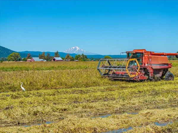 $10,980,000 | 25653 Glenburn Road, Fall River Mills, CA 96028