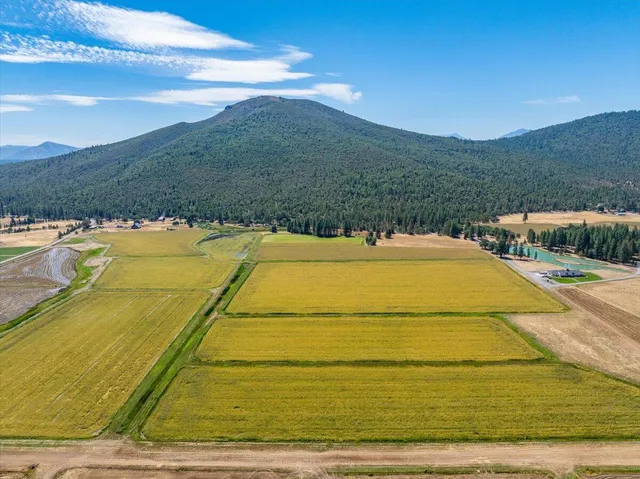 $10,980,000 | 25653 Glenburn Road, Fall River Mills, CA 96028