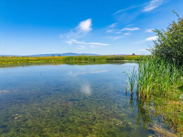 $10,980,000 | 25653 Glenburn Road, Fall River Mills, CA 96028