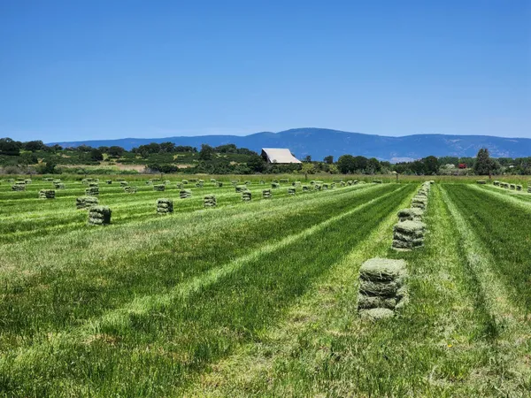 a view of a lake with houses