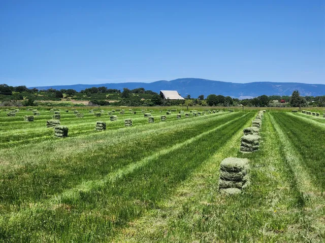 $10,980,000 | 25653 Glenburn Road, Fall River Mills, CA 96028