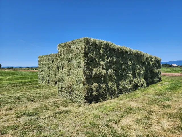 $10,980,000 | 25653 Glenburn Road, Fall River Mills, CA 96028