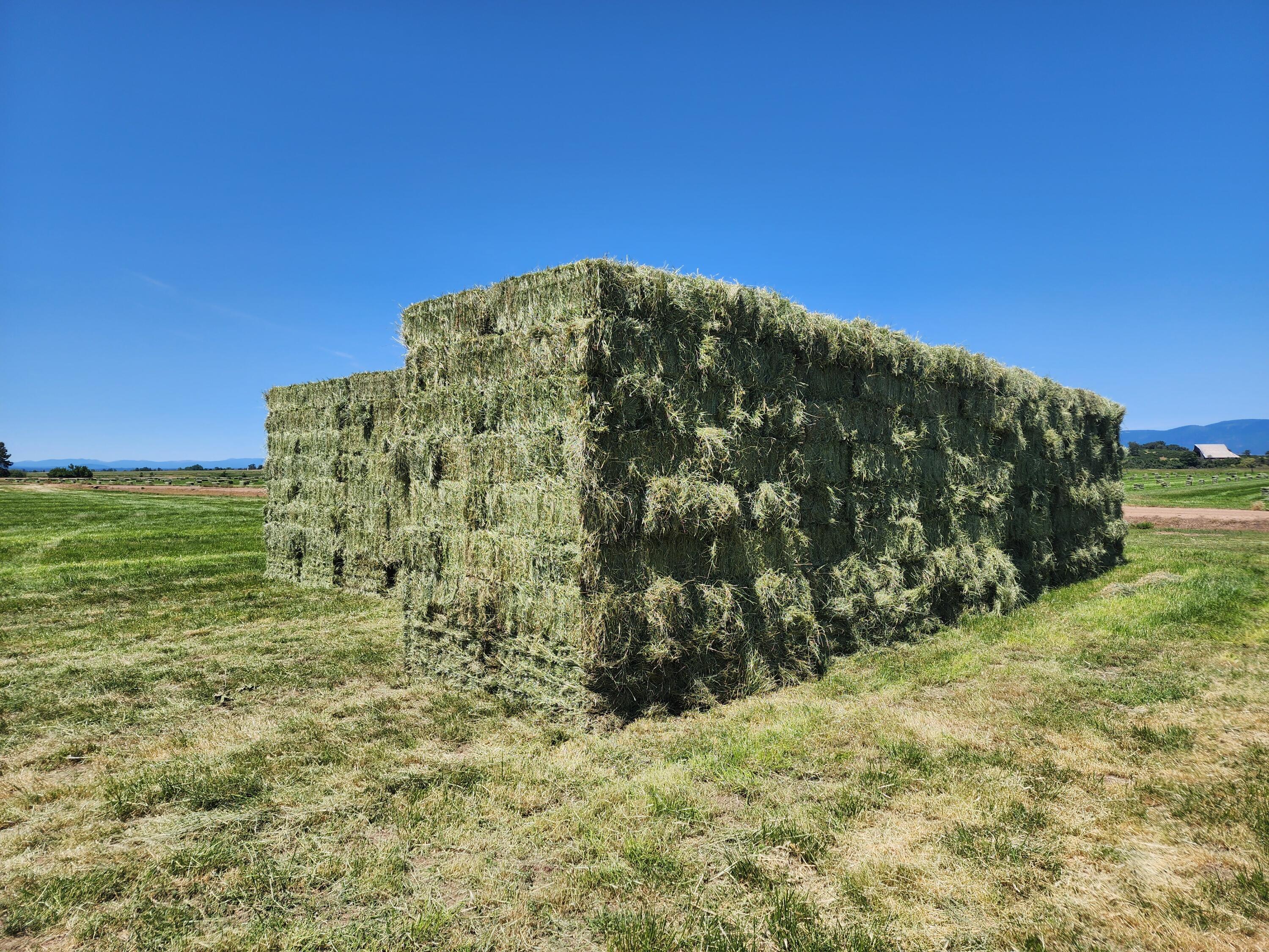 25653 Glenburn Road Fall River Mills, CA 96028 - Photo 13 of 152 20250602_141932