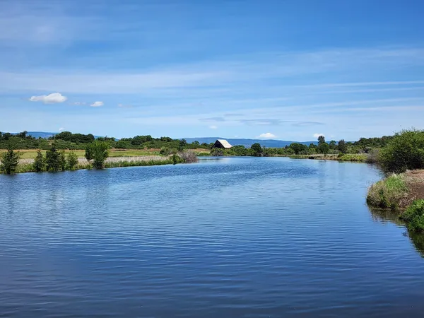 a view of a livingroom with furniture and staircase