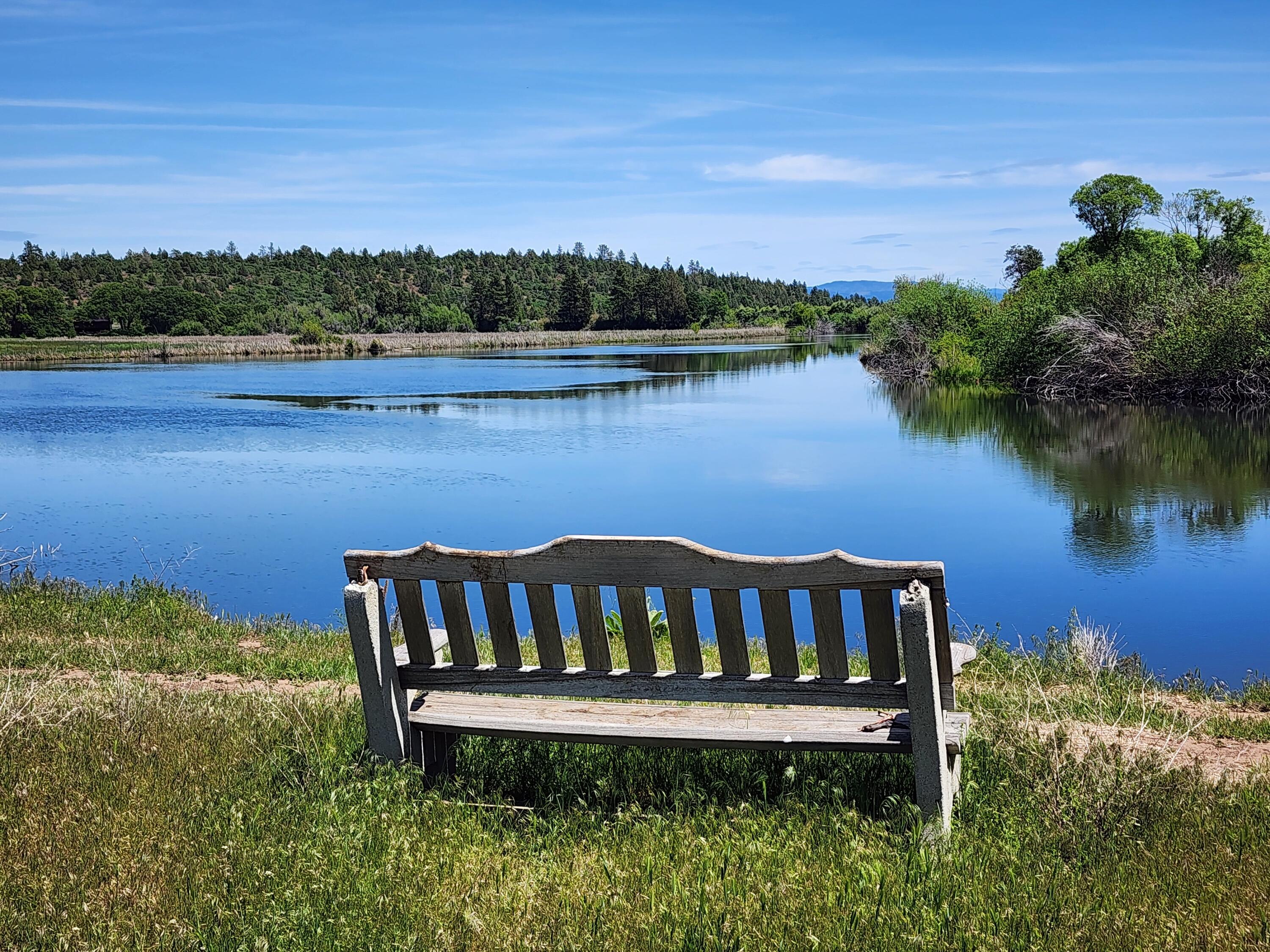 25653 Glenburn Road Fall River Mills, CA 96028 - Photo 49 of 152 20250515_134530