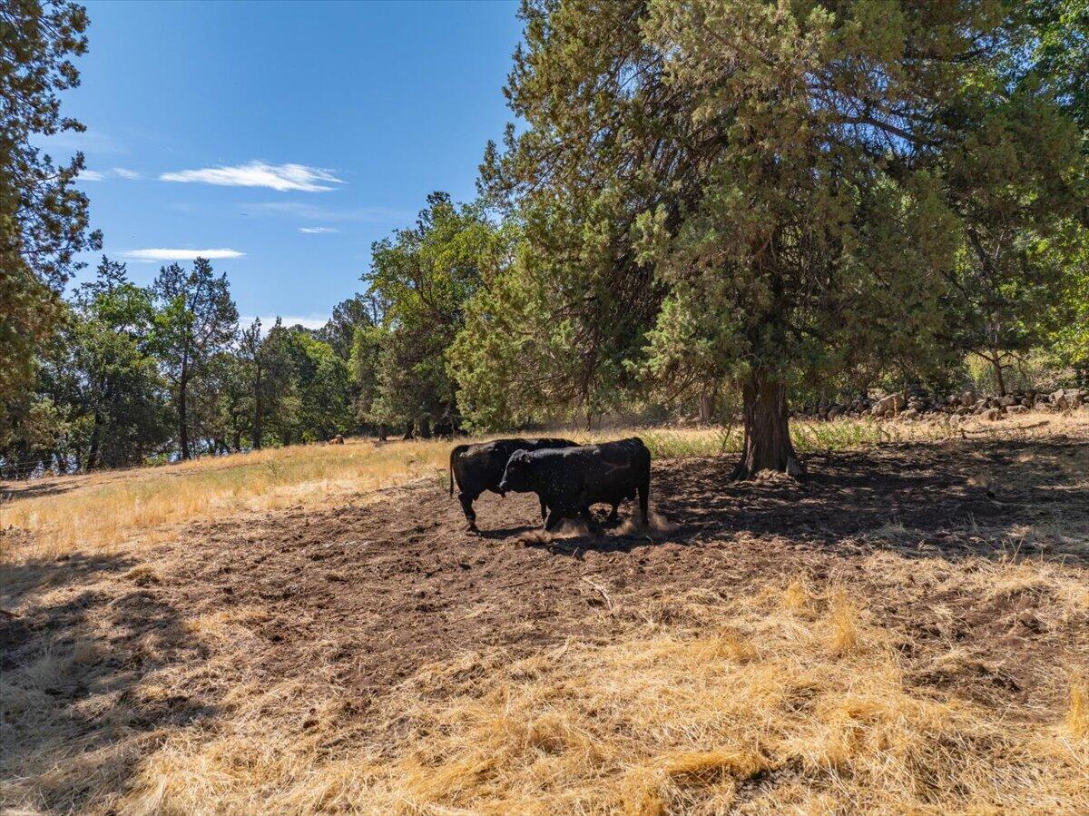 25653 Glenburn Road Fall River Mills, CA 96028 - Photo 68 of 152 066-25653 Glenburn Rd - E-44