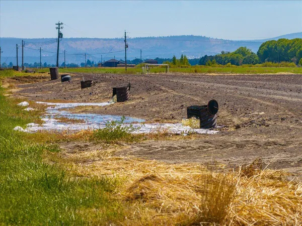 $10,980,000 | 25653 Glenburn Road, Fall River Mills, CA 96028