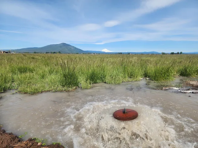 a view of an ocean with a swimming pool