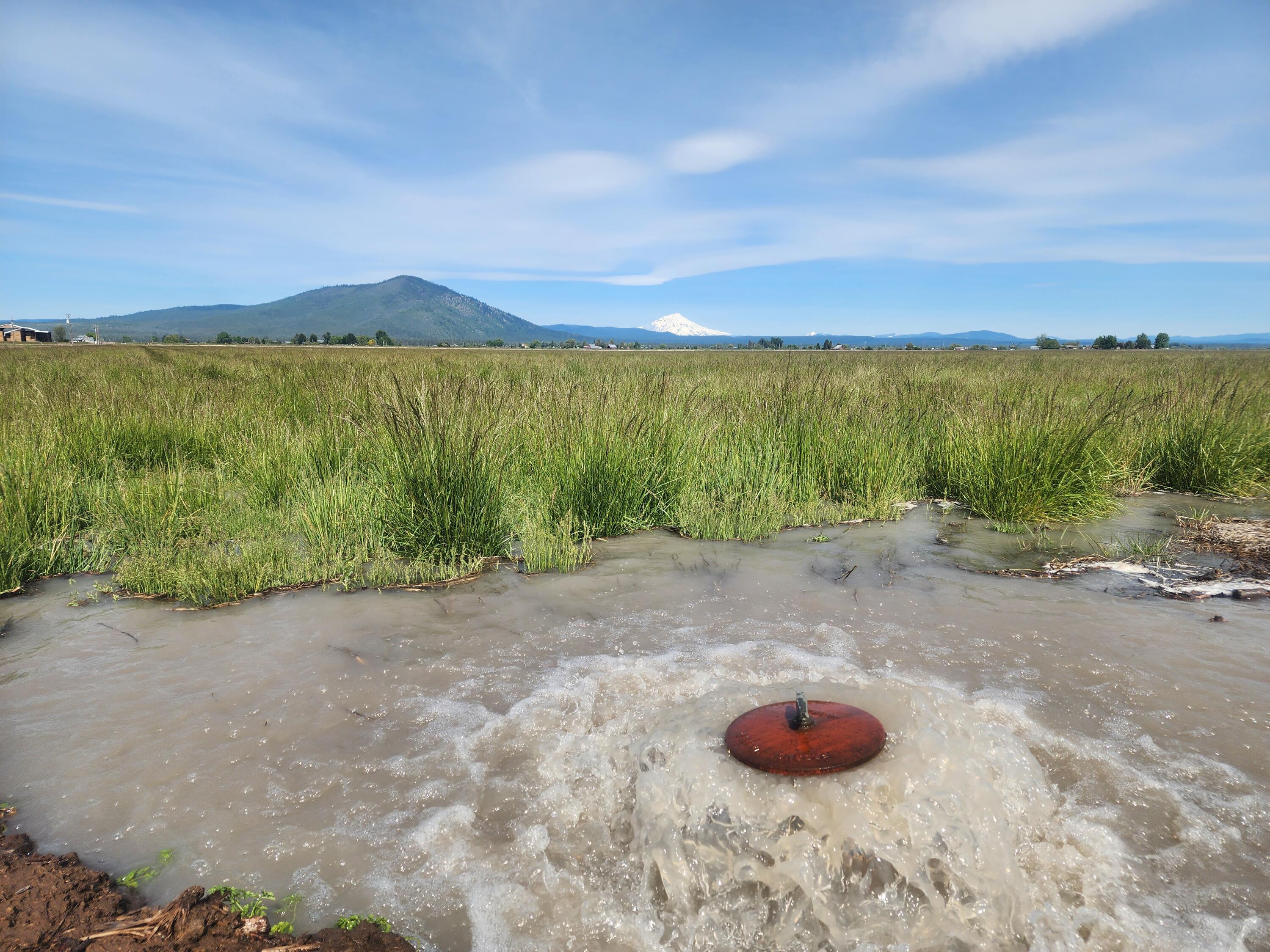 25653 Glenburn Road Fall River Mills, CA 96028 - Photo 8 of 152 20250515_101008