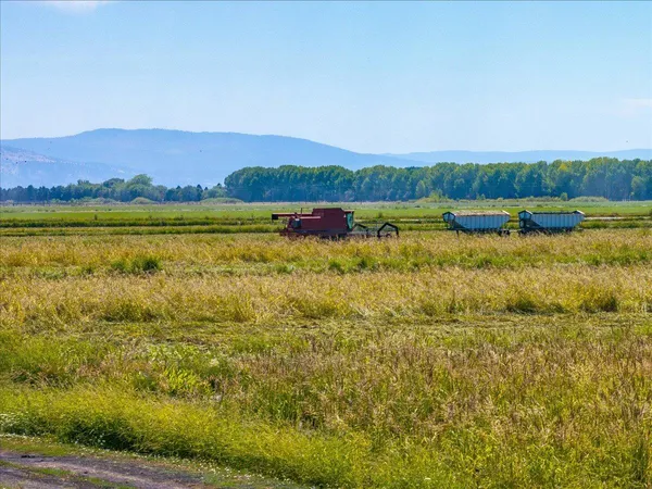 $10,980,000 | 25653 Glenburn Road, Fall River Mills, CA 96028