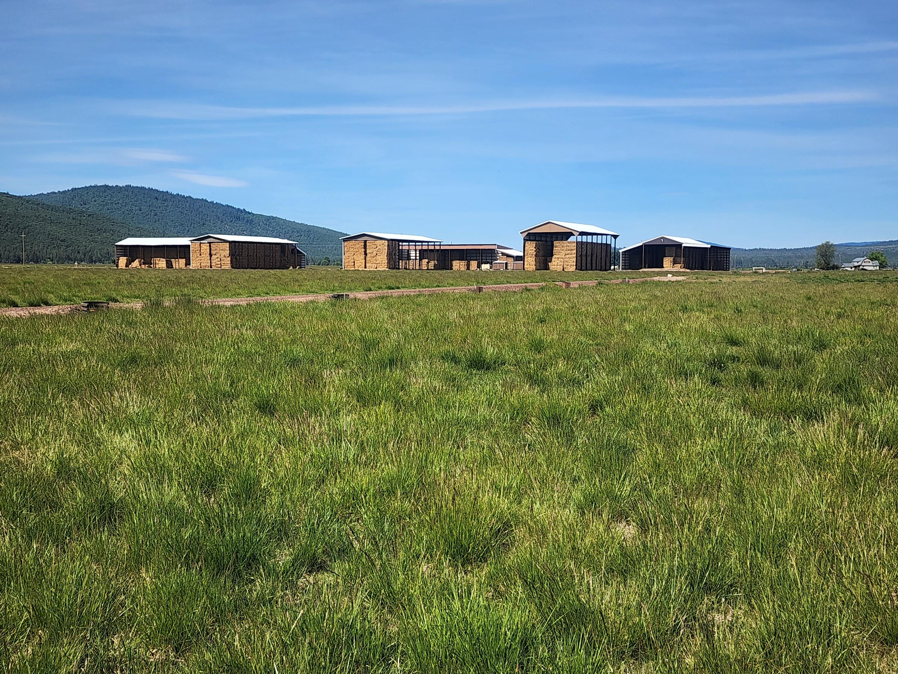 25653 Glenburn Road Fall River Mills, CA 96028 - Photo 9 of 152 20250515_101425