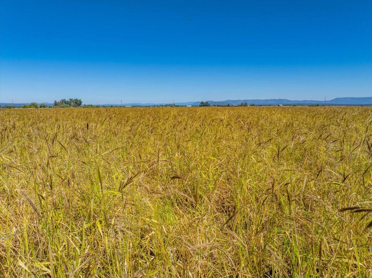 25653 Glenburn Road Fall River Mills, CA 96028 - Photo 92 of 152 107-25653 Glenburn Rd - E-87