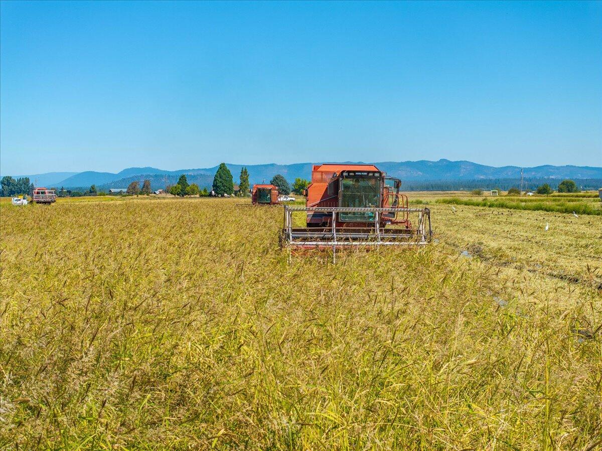 25653 Glenburn Road Fall River Mills, CA 96028 - Photo 93 of 152 109-25653 Glenburn Rd - E-89