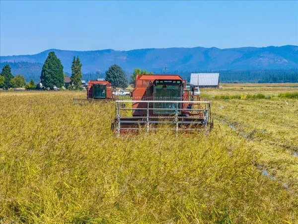 $10,980,000 | 25653 Glenburn Road, Fall River Mills, CA 96028