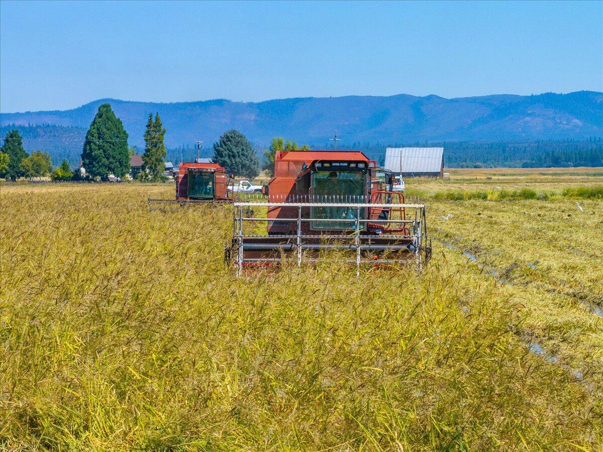 25653 Glenburn Road Fall River Mills, CA 96028 - Photo 94 of 152 a outdoor view with swimming pool and mountain view