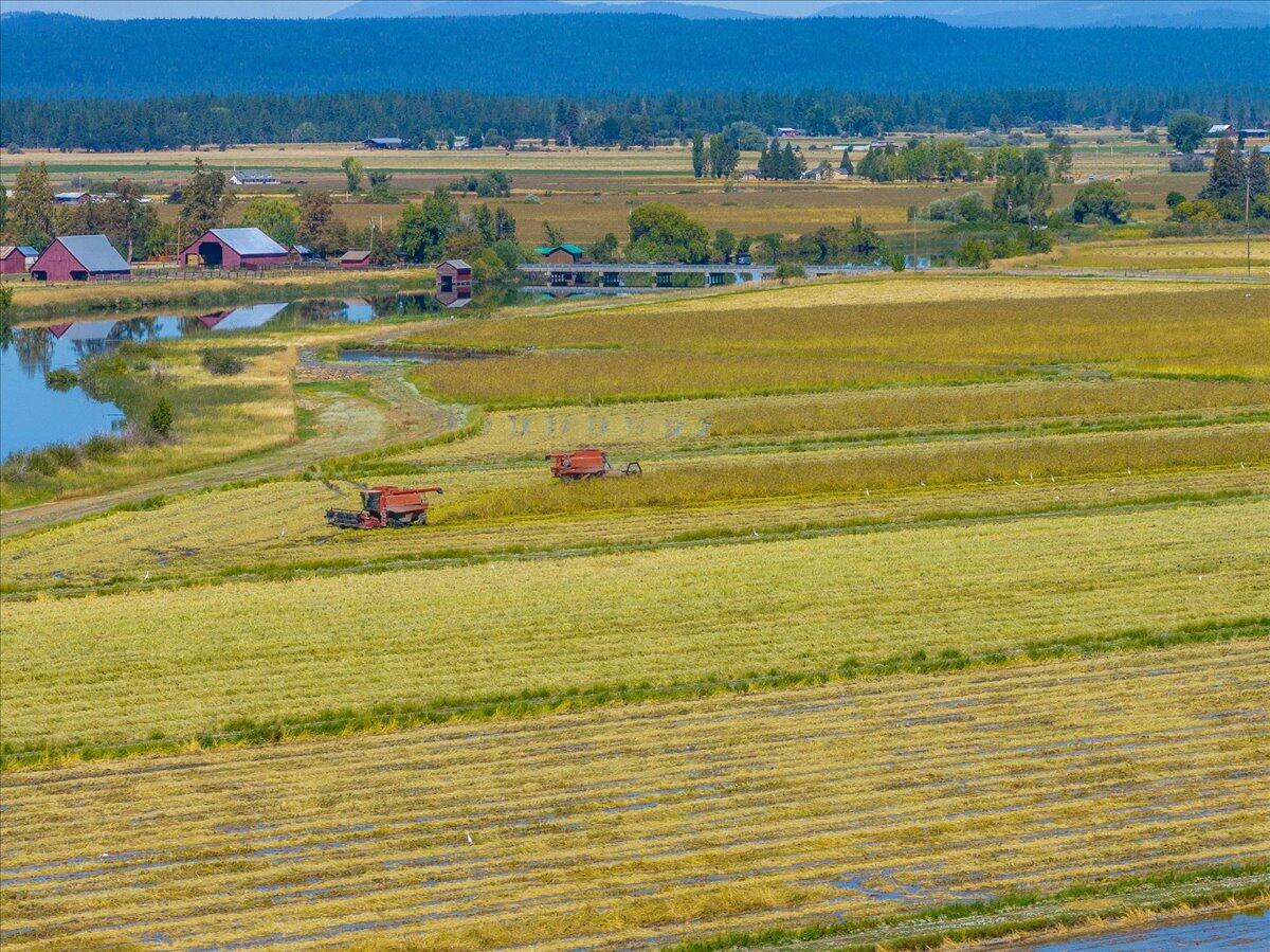 25653 Glenburn Road Fall River Mills, CA 96028 - Photo 96 of 152 112-25653 Glenburn Rd - E-92