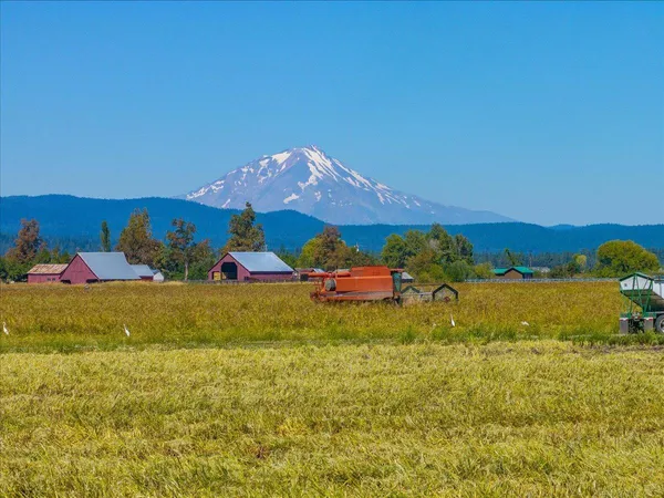 $10,980,000 | 25653 Glenburn Road, Fall River Mills, CA 96028