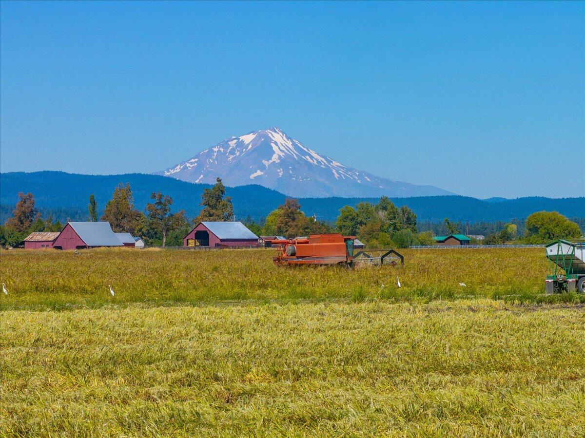 25653 Glenburn Road Fall River Mills, CA 96028 - Photo 98 of 152 114-25653 Glenburn Rd - E-94