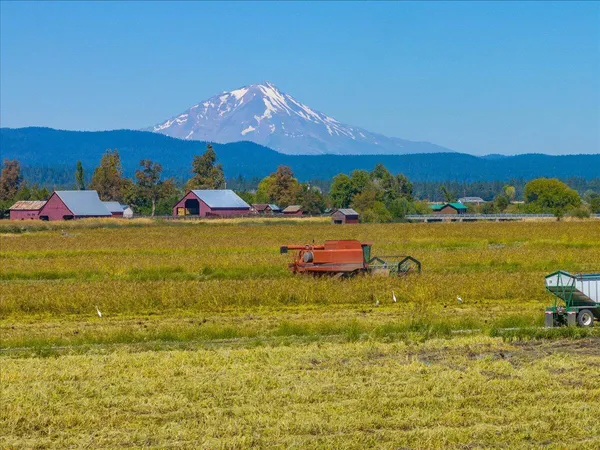 $10,980,000 | 25653 Glenburn Road, Fall River Mills, CA 96028