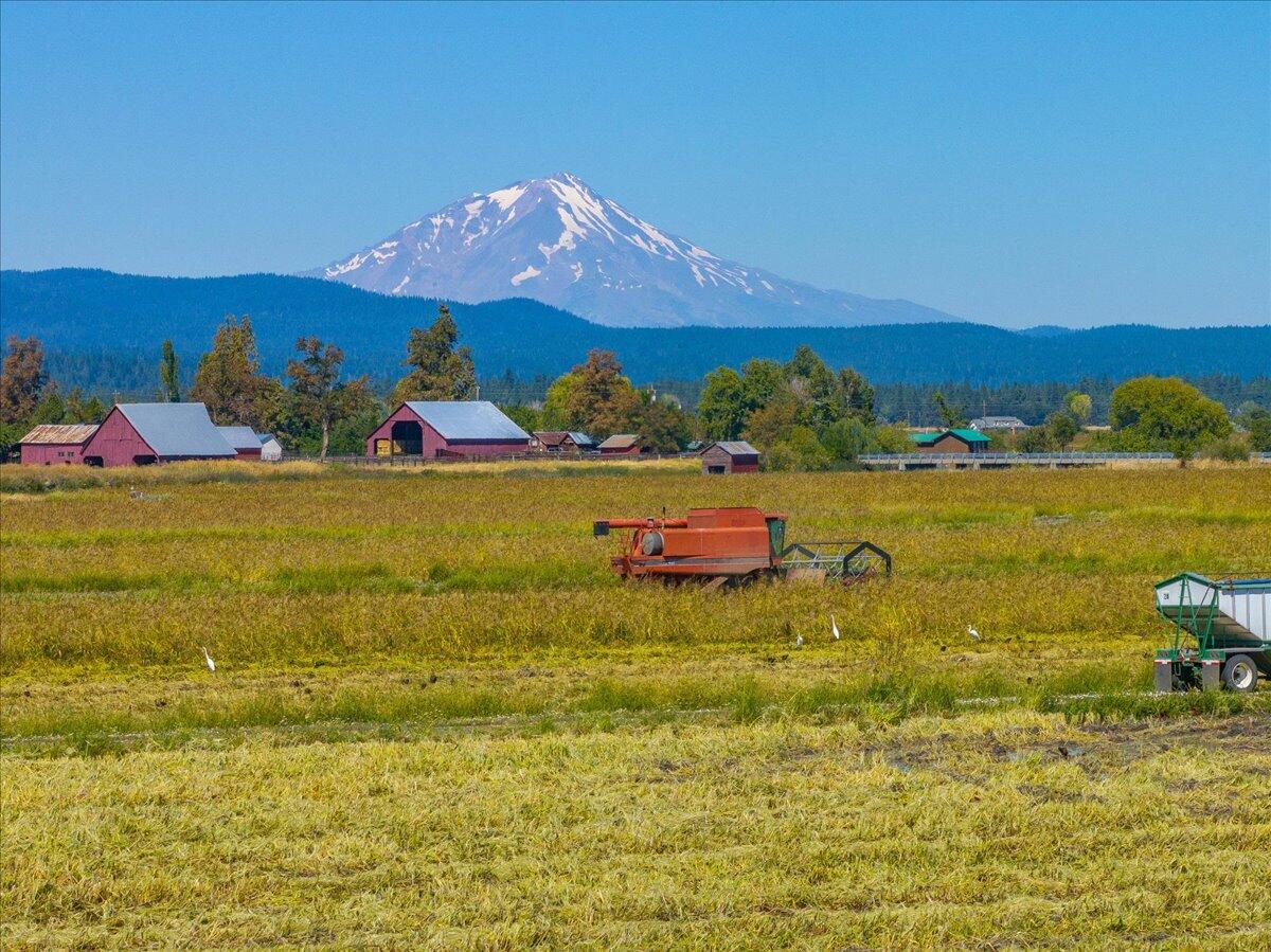 25653 Glenburn Road Fall River Mills, CA 96028 - Photo 99 of 152 115-25653 Glenburn Rd - E-95