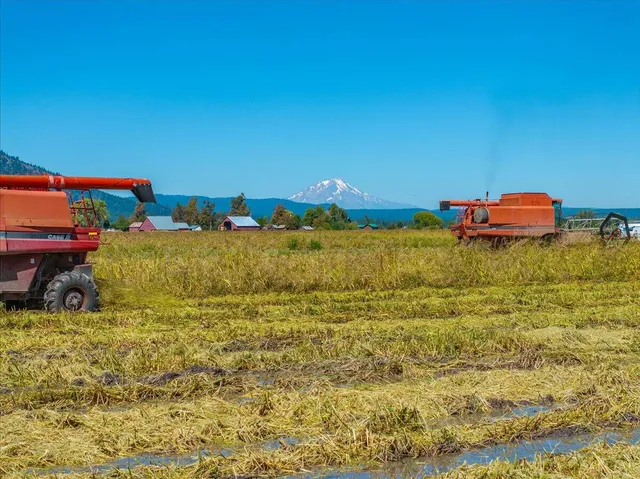 $10,980,000 | 25653 Glenburn Road, Fall River Mills, CA 96028