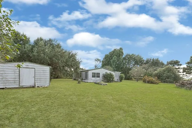 a view of a trees with yard