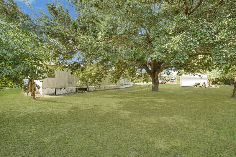 35494 Betka Road Hempstead, TX 77445 - Photo 13 of 37 a view of a trees with yard