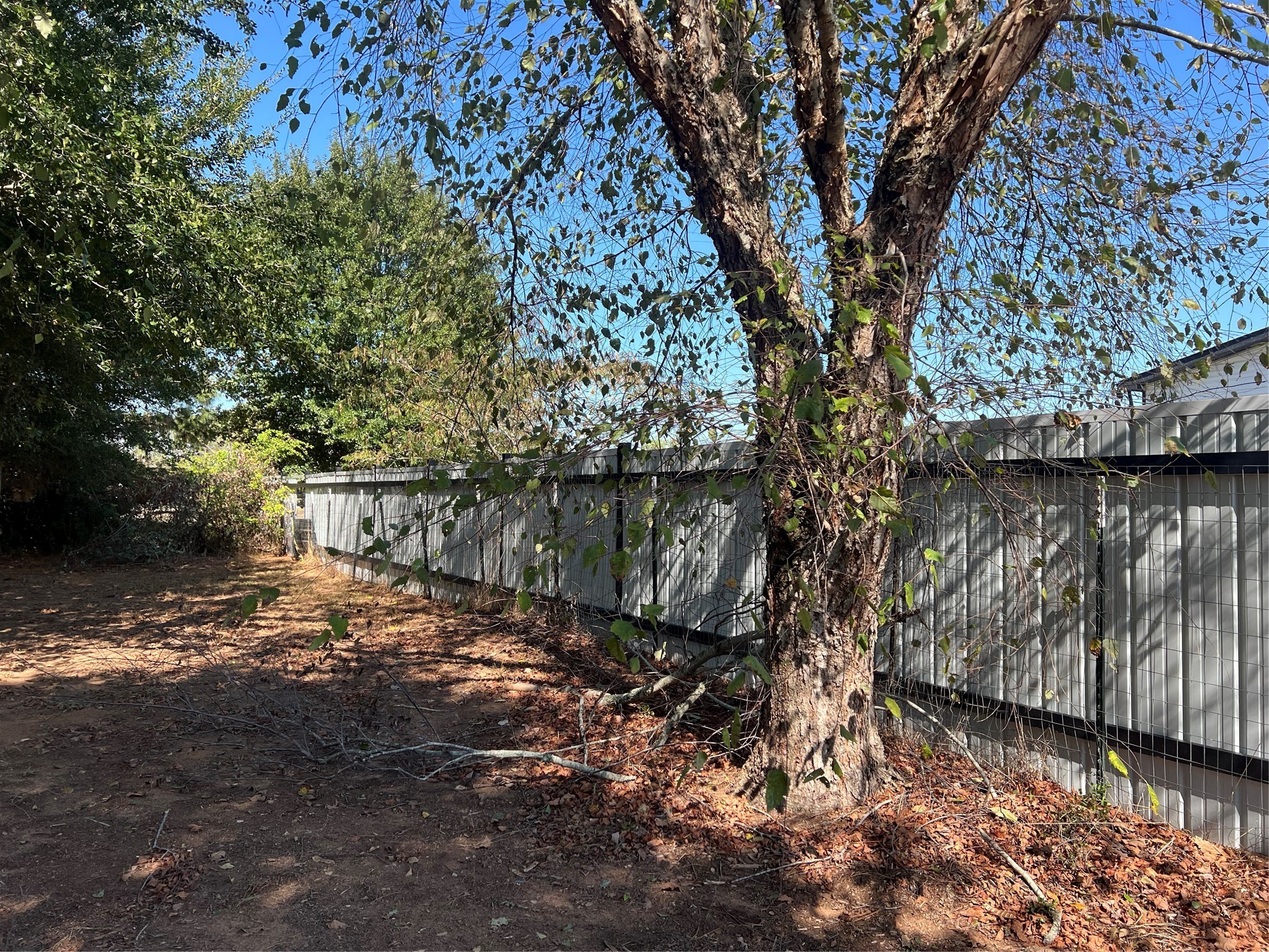 35494 Betka Road Hempstead, TX 77445 - Photo 15 of 37 a backyard of a house with lots of green space