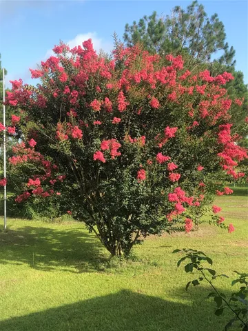 $279,900 | 35494 Betka Road, Hempstead, TX 77445