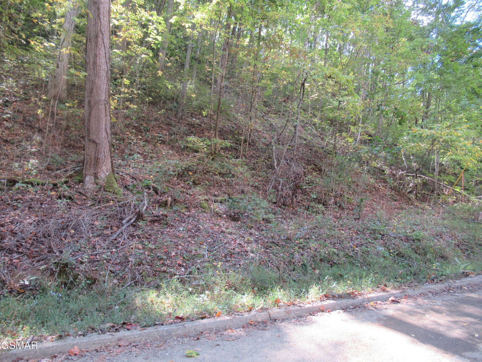 114 Bear Valley Road Sevierville, TN 37876 - Photo 1 of 16 Gallery Image 1