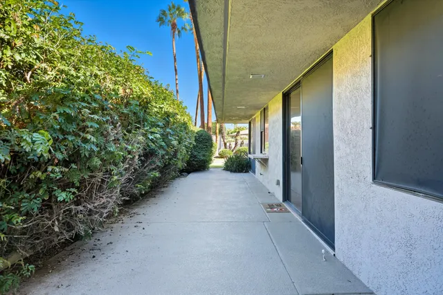 a view of a back yard