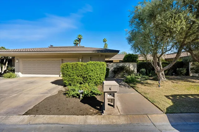 a view of a backyard with plants