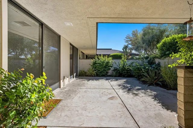 a view of a path with potted plants