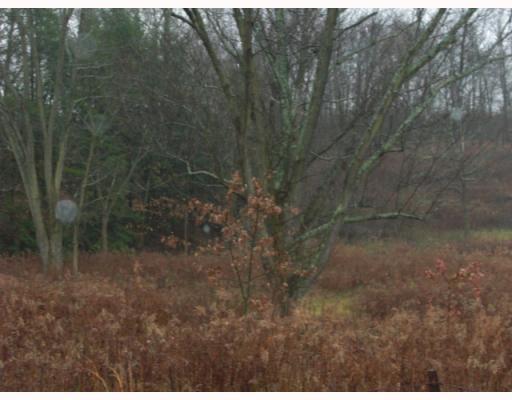 102 Sugarcamp Road Venetia, PA 15367 - Photo 3 of 3 Land/Lot.