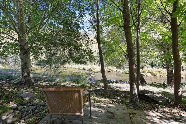 a view of outdoor space with lots of trees