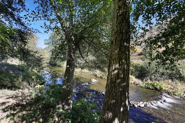 a backyard of a house with a yard and outdoor seating