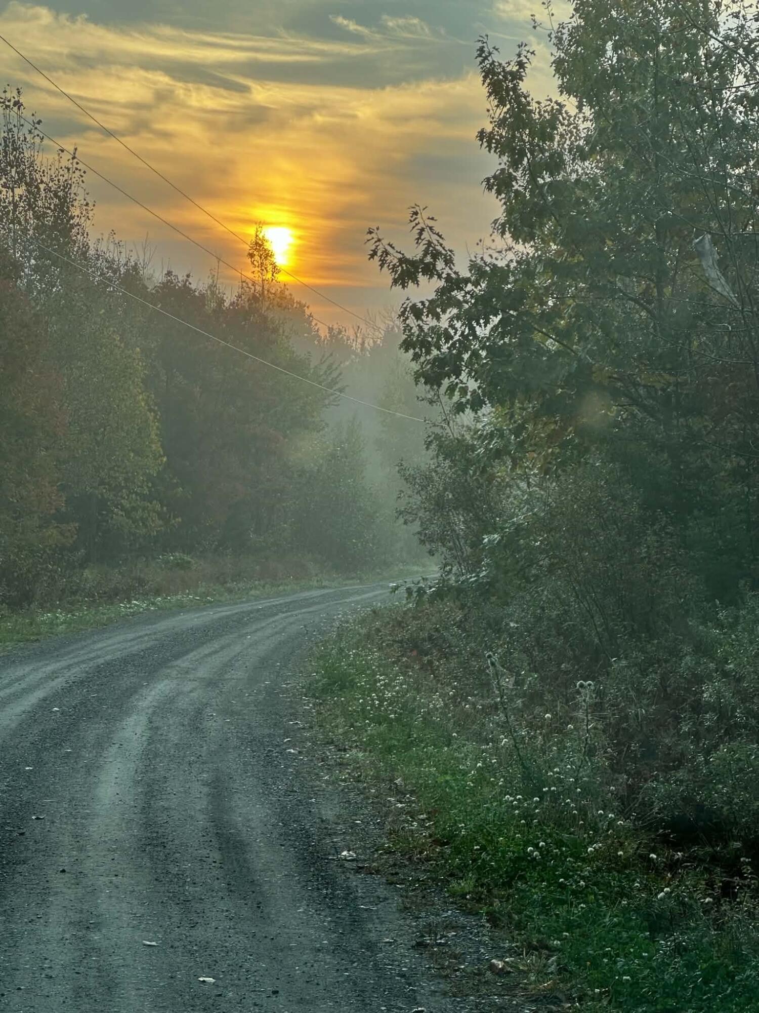 260 Nyes Corner Road St. Albans, ME 04971 - Photo 1 of 104 Driveway