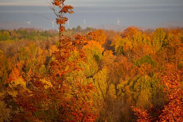 $1,500,000 | 260 Nyes Corner Road, St. Albans, ME 04971