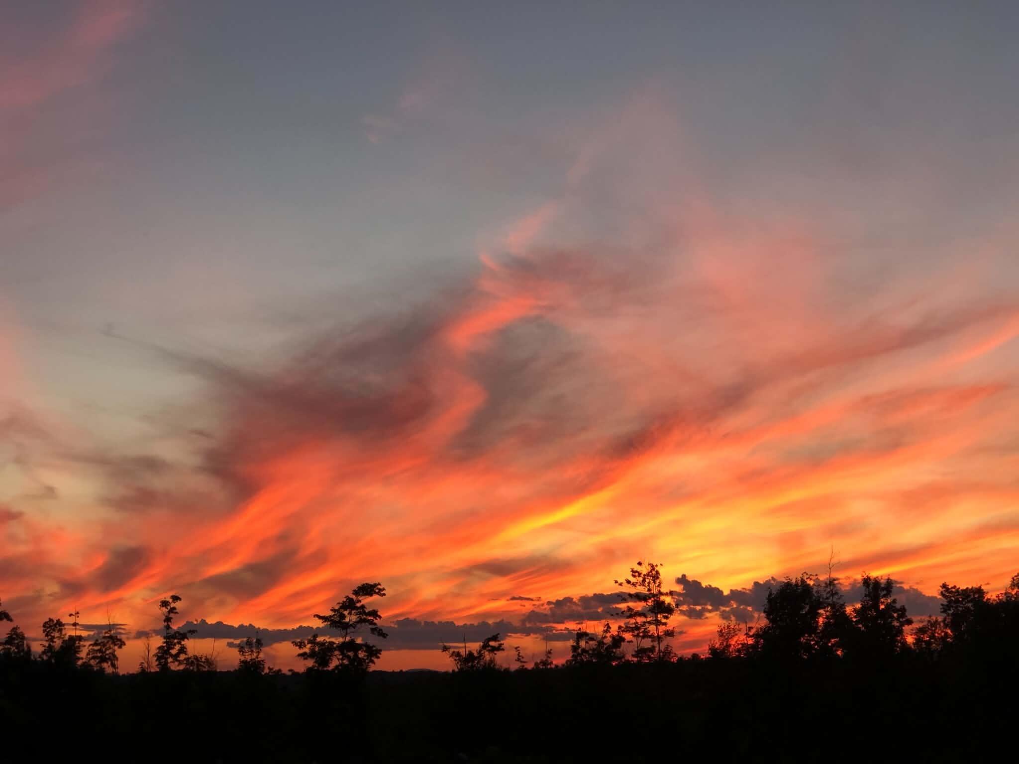 260 Nyes Corner Road St. Albans, ME 04971 - Photo 29 of 104 4YvUzUrI