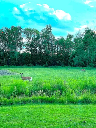 $1,500,000 | 260 Nyes Corner Road, St. Albans, ME 04971