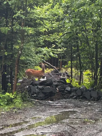 $1,500,000 | 260 Nyes Corner Road, St. Albans, ME 04971