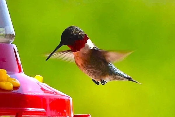 $1,500,000 | 260 Nyes Corner Road, St. Albans, ME 04971