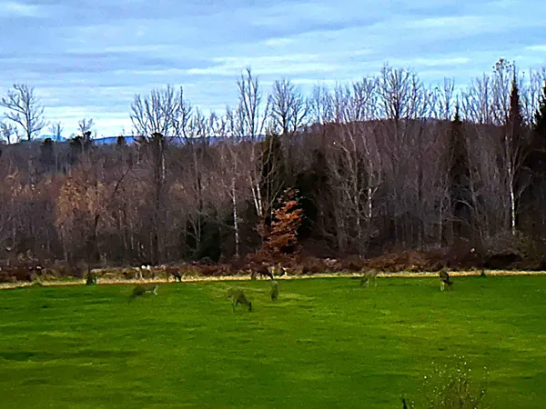 $1,500,000 | 260 Nyes Corner Road, St. Albans, ME 04971