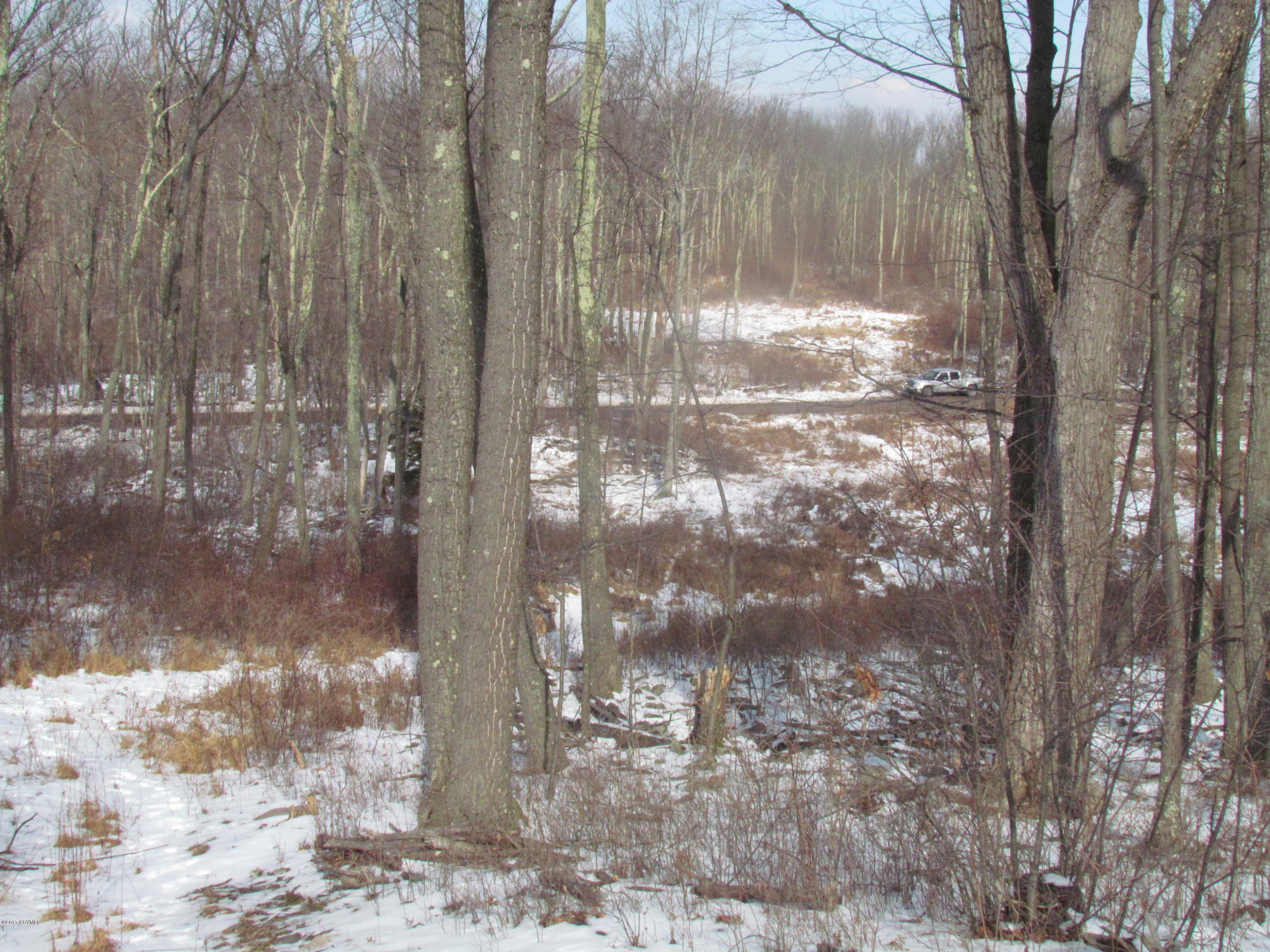 South Main Road Mountain Top, PA 18707 - Photo 7 of 14 Gallery Image 7