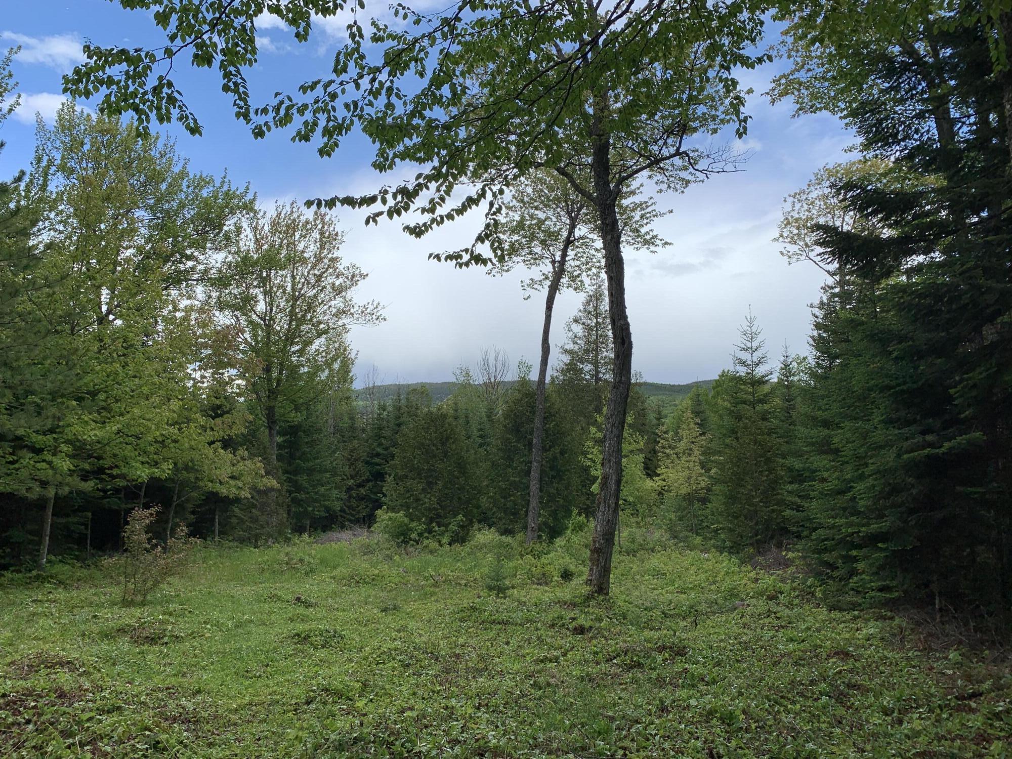 25 No Road West Forks, ME 04945 - Photo 17 of 22 mountain views