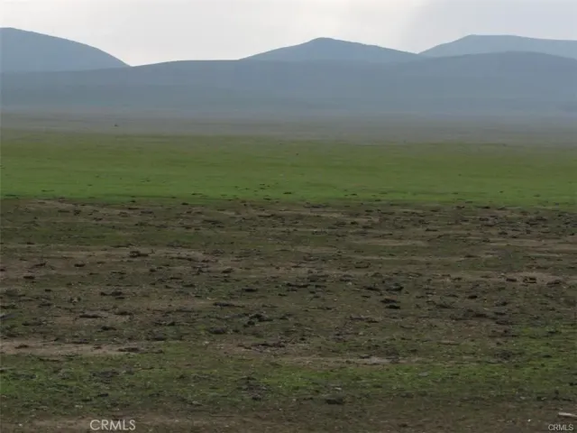 a view of a field with an ocean