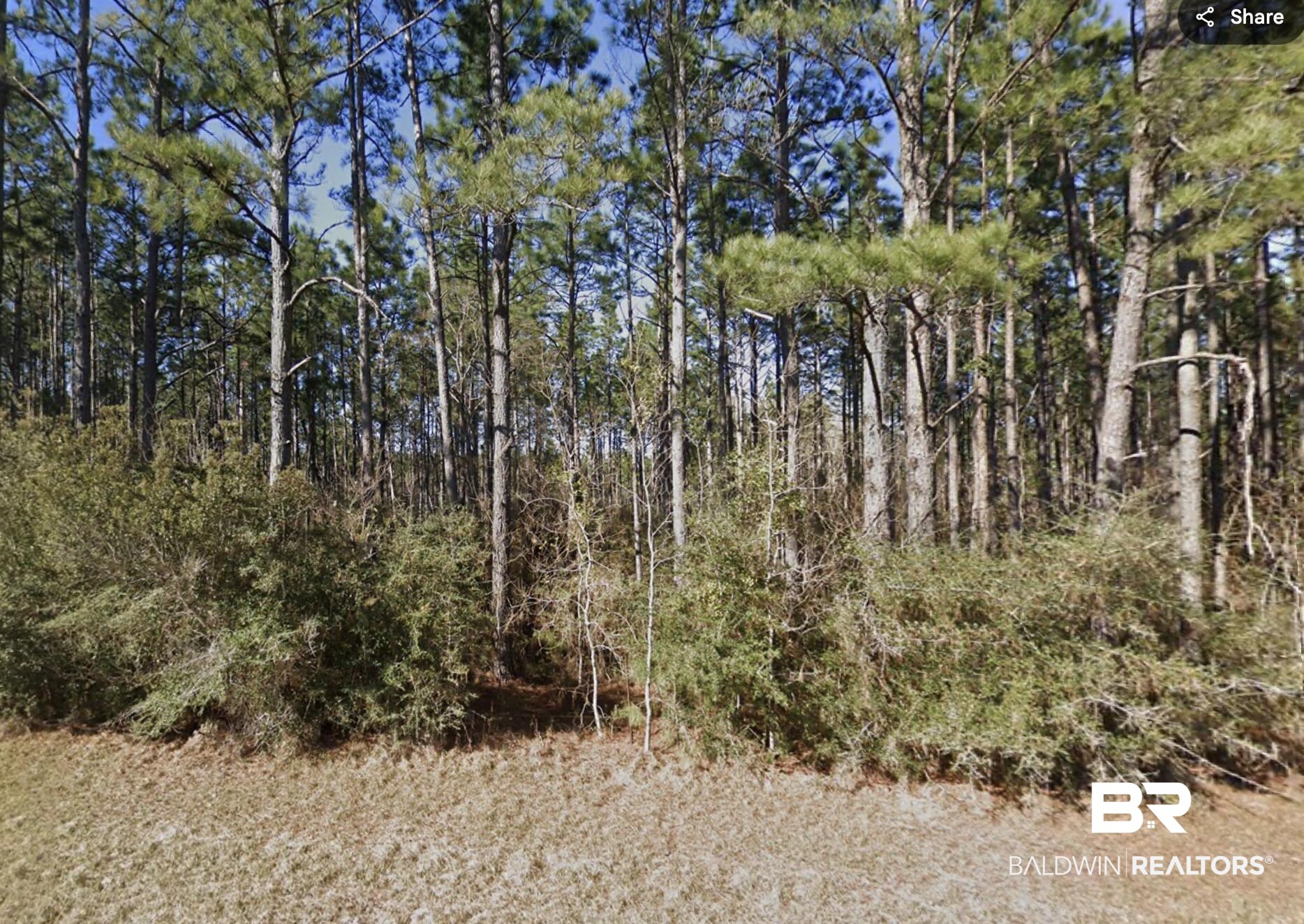 28067 New Hope Church Road Robertsdale, AL 36567 - Photo 3 of 3 View of undeveloped land